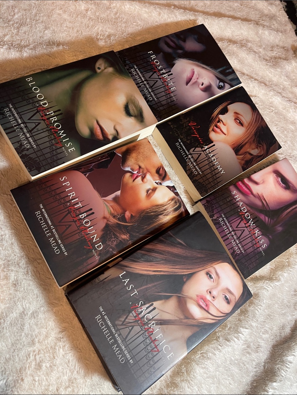 Vampire academy by Rachel mead books series